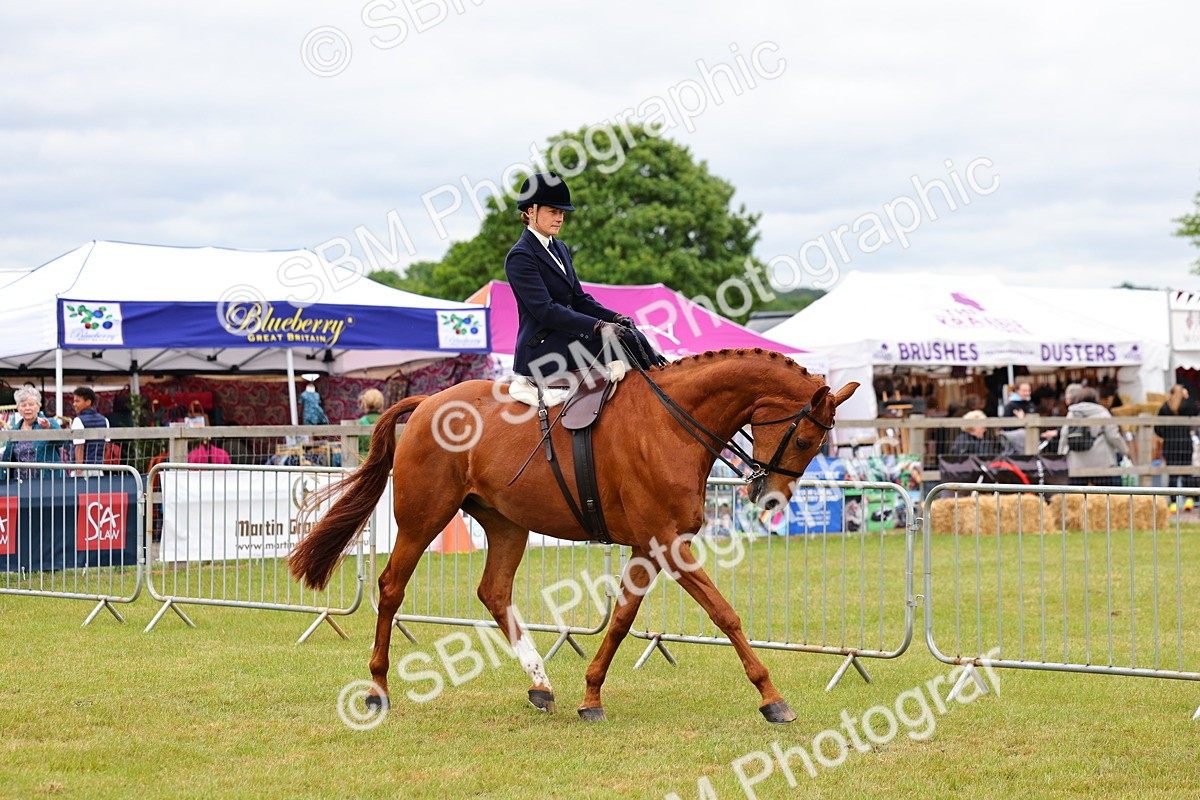 SBM_02930 - Class 9-11 Side Saddle including LIHS Rising Star Ladies Show Horse