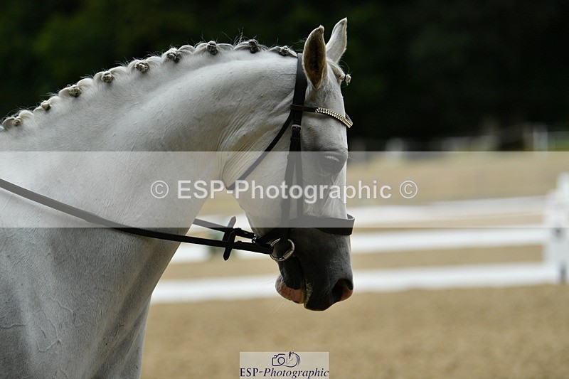 250718A-100816-00049 - 123-Jessica.Perry-Silver.Secret