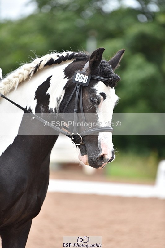 240706A-133226-02639 - Cls 4A Snr Novice 24