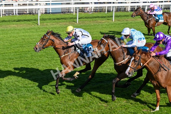 160525-Race 7-Delicacy-7449 - Race 7 5.30pm Yorkshire Equine Practice Handicap