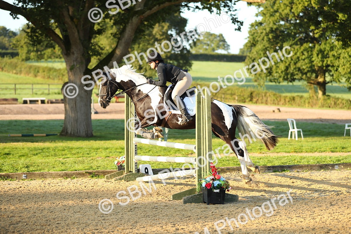 SBM_57661 - J64 - Clear Round 90cm