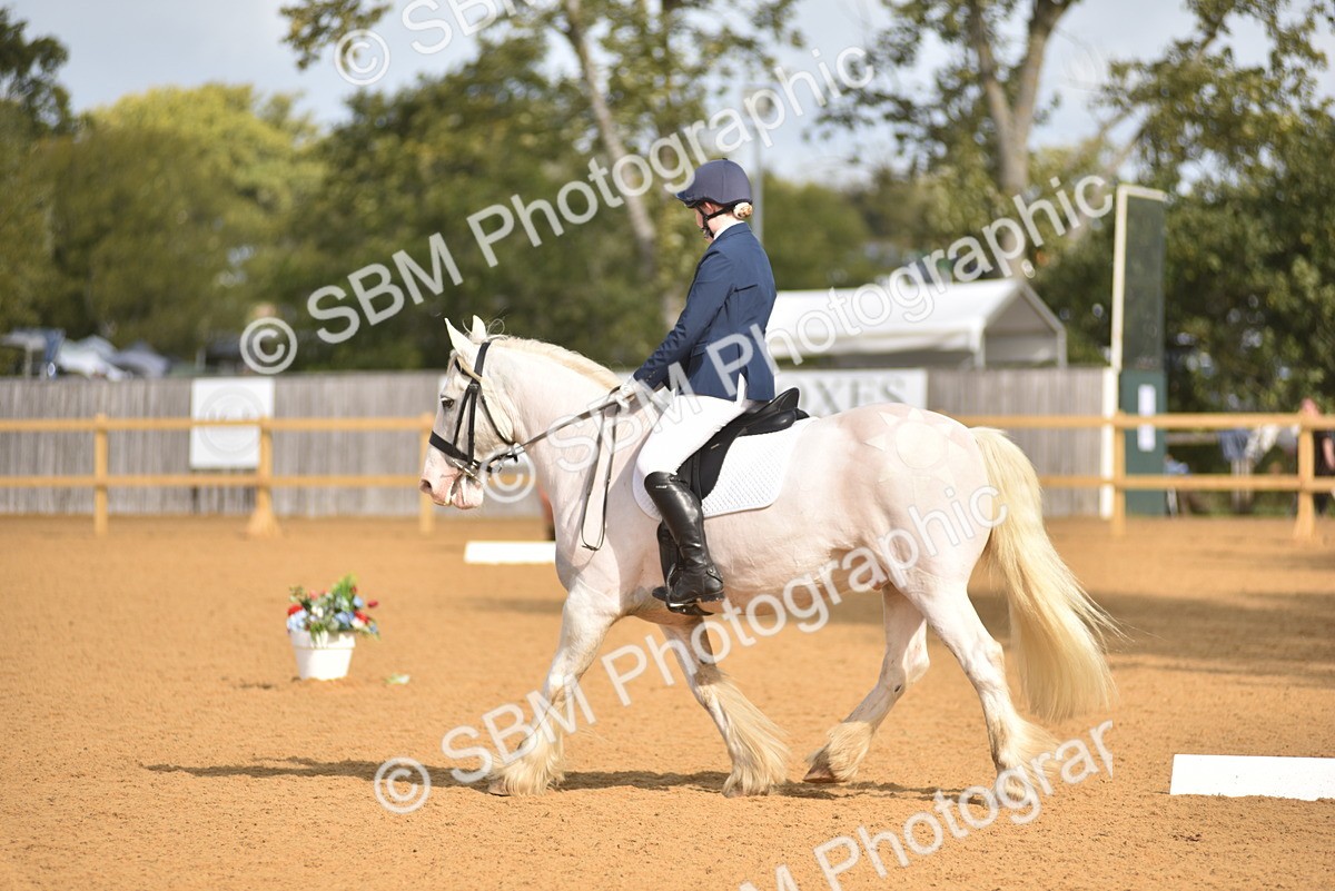SBM_02954 - D4 - Small Tour Championship Intro 4