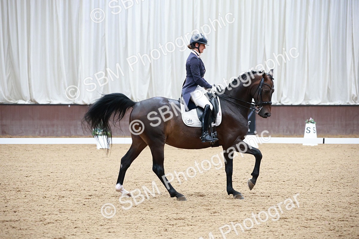 SBM_009507 - Class 13 - FEI PSG - 11.06-12.34
