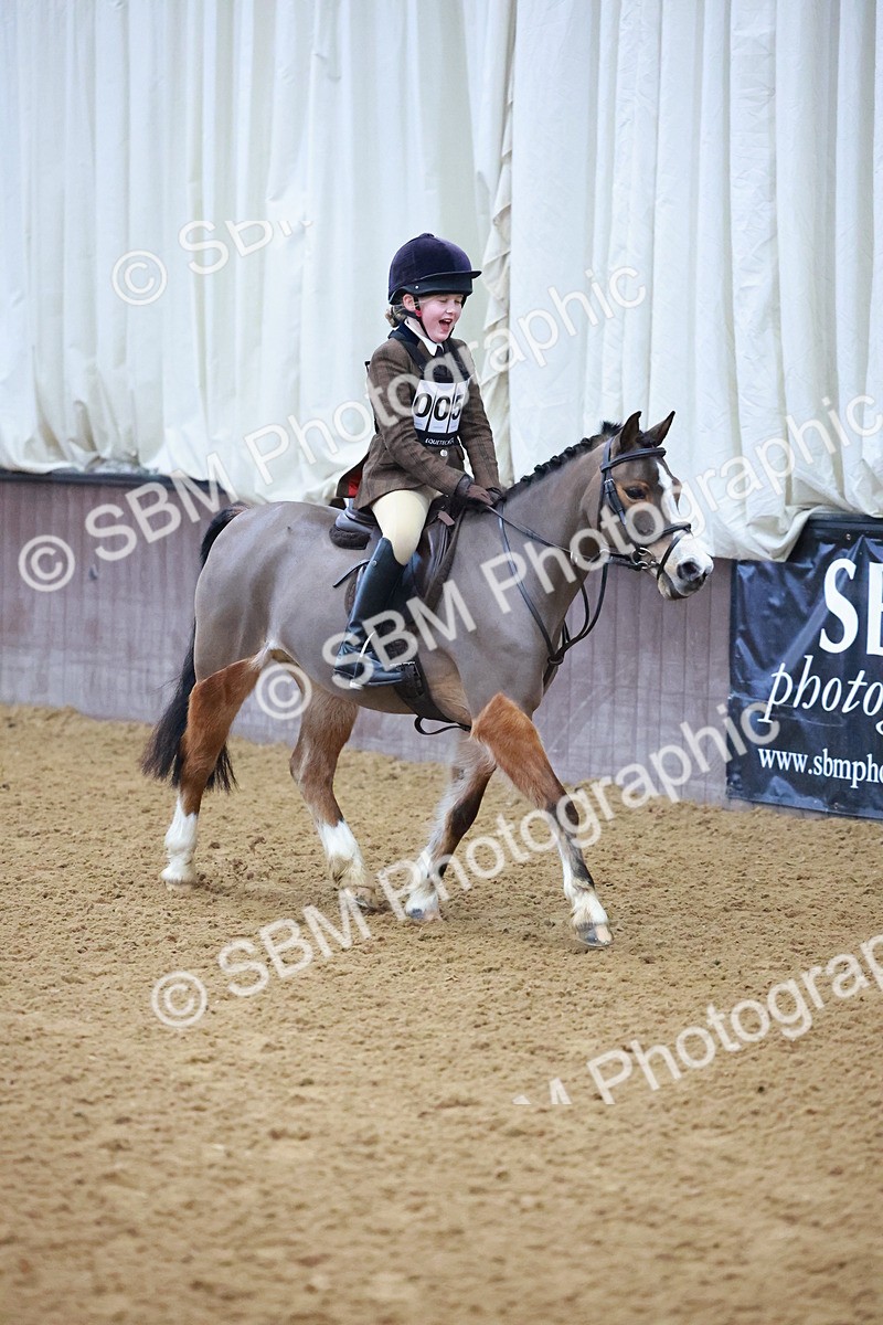 SBM_000325 - Class 19 - 50cm