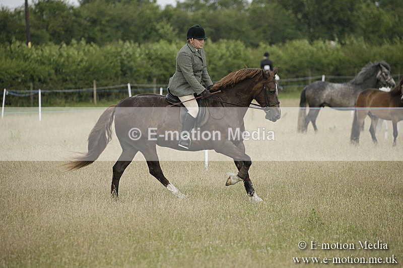 B230619-0189 - Bourne Valley Riding Club Summer Show 23/06/19