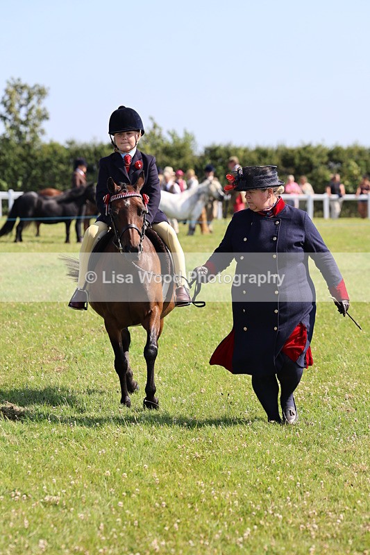 IMG_1752 - Class 31: Lead Rein SP/SHP