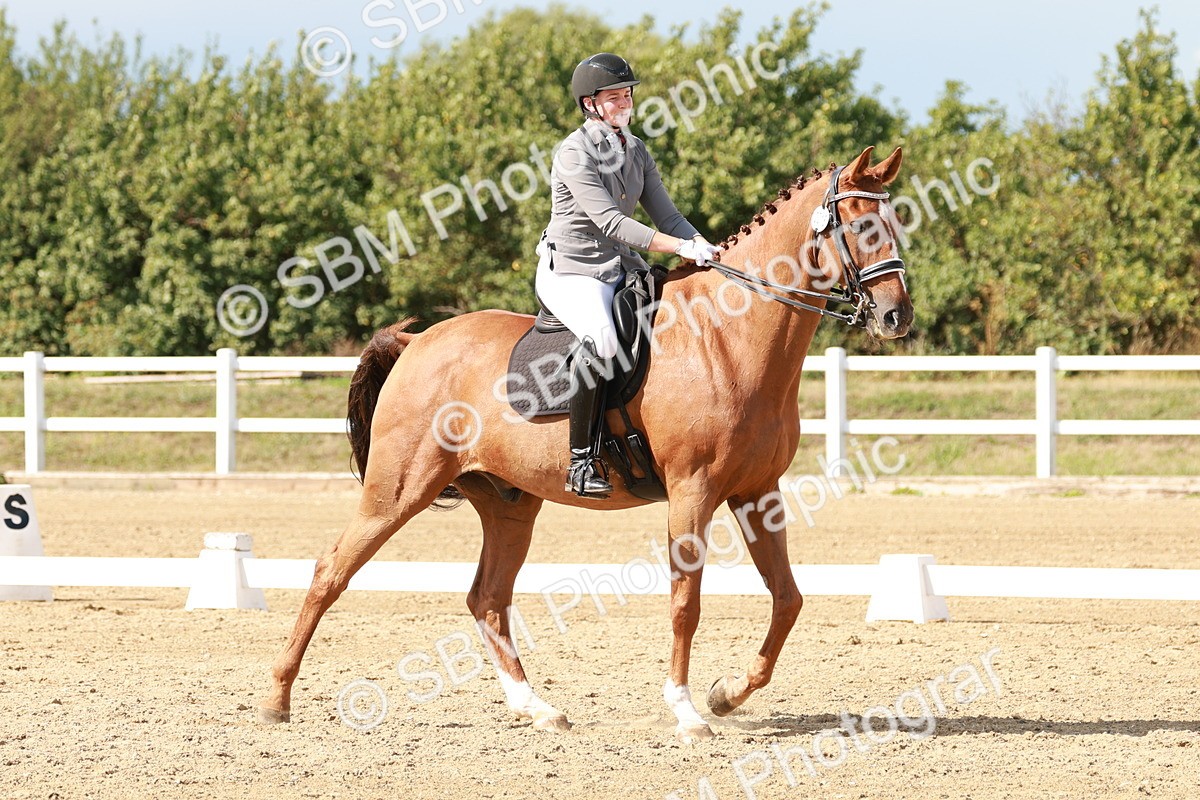 SBM_002572 - Class 11 - Medium 6