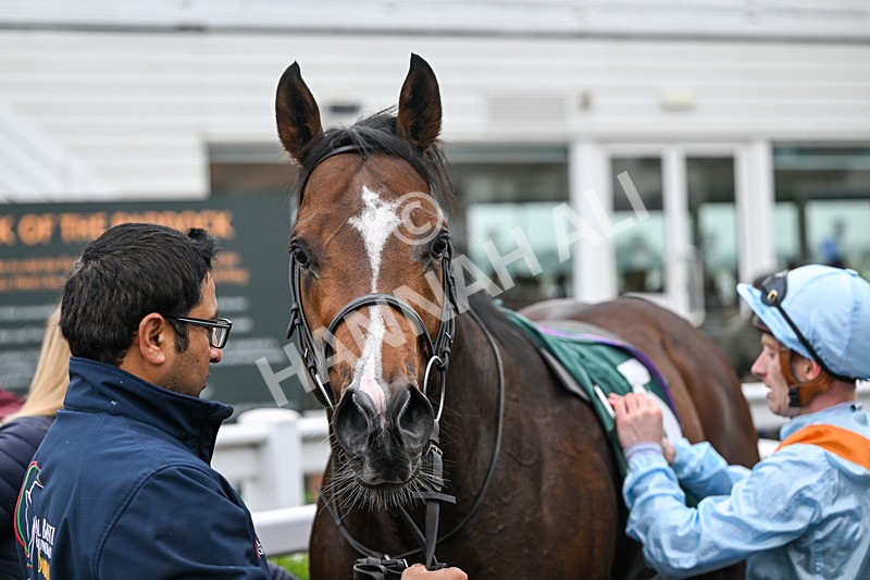 181025-Race 7-Lexington Blitz-1508 - Race 7