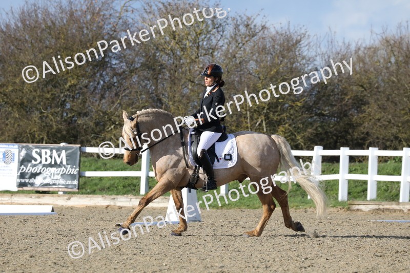 20260314-5808 - DR 7 - Elementary 1