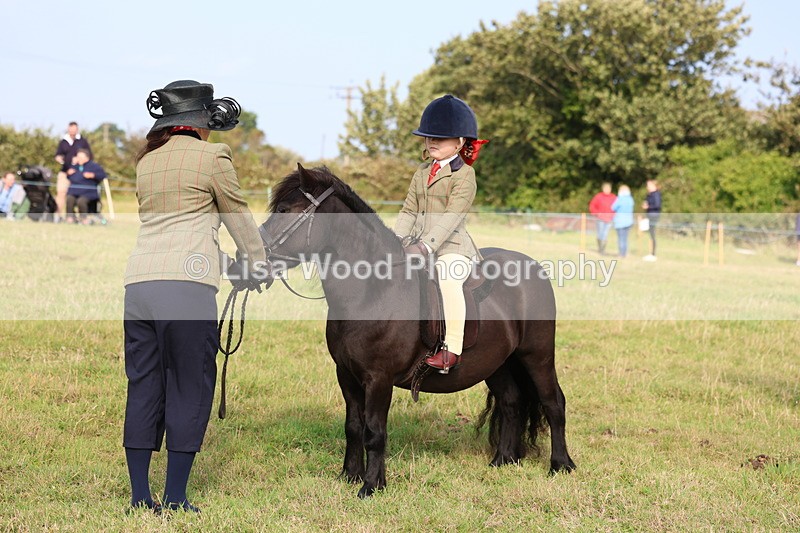 3E7A3669 - Class 2: Lead rein