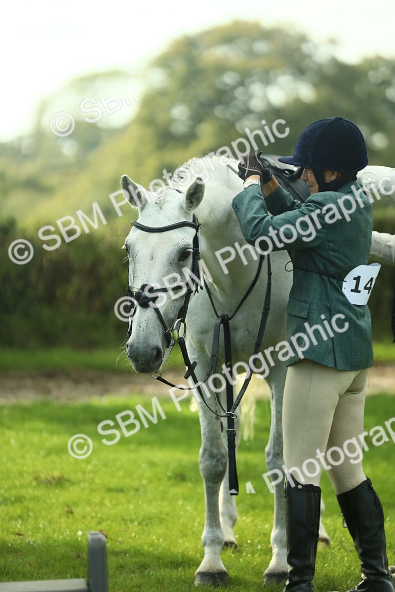 SBM_52149 - S33 - Working Hunter & Working Show Horse