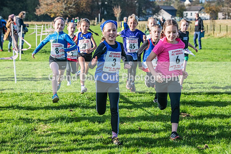Cumbria XC-12 - Cumbria XC League Workington Saturday 26th October 2024