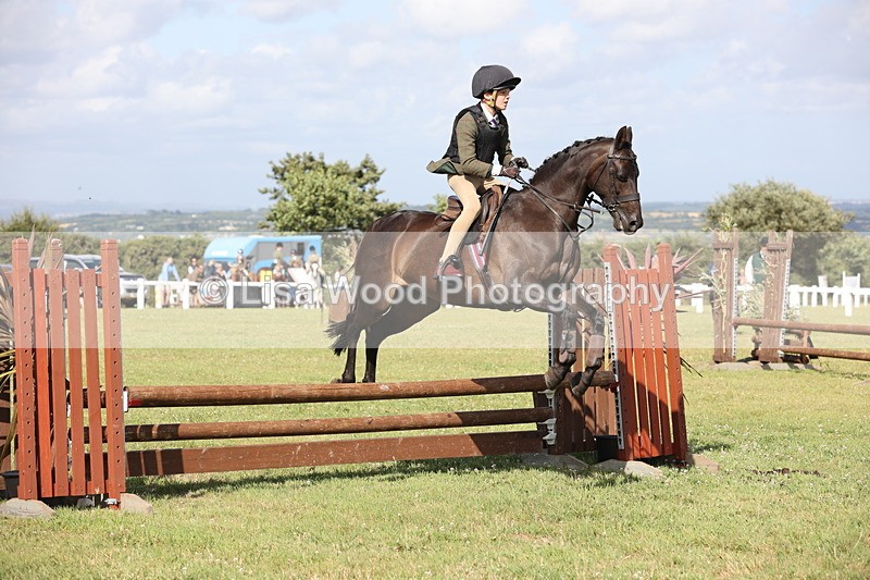 JPP_2772 - Class 20: Working Hunter 70cm