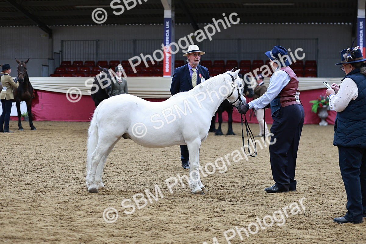 SBM_00942 - Class 2A - Area IH Veteran