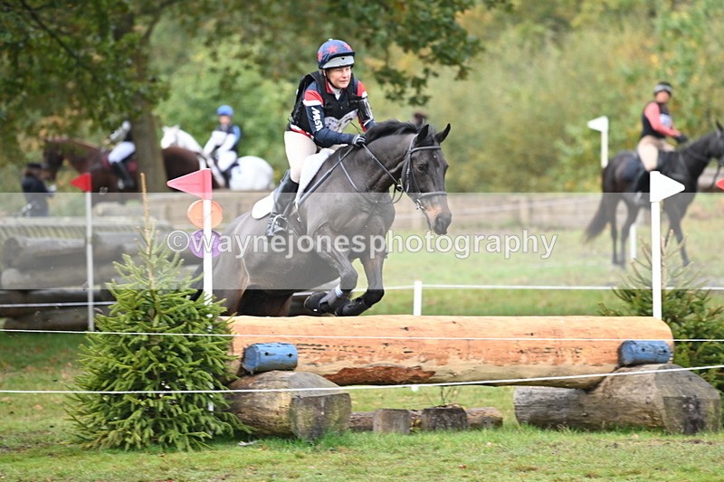 WJ6_1803 - 80cm Cam 1 Time 10:08 to 10:45