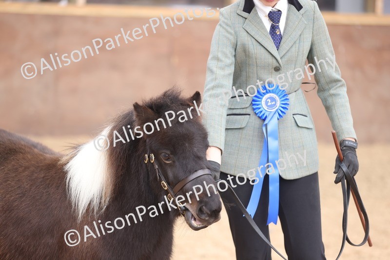 20251109-0420 - Class 15 - Coloureds