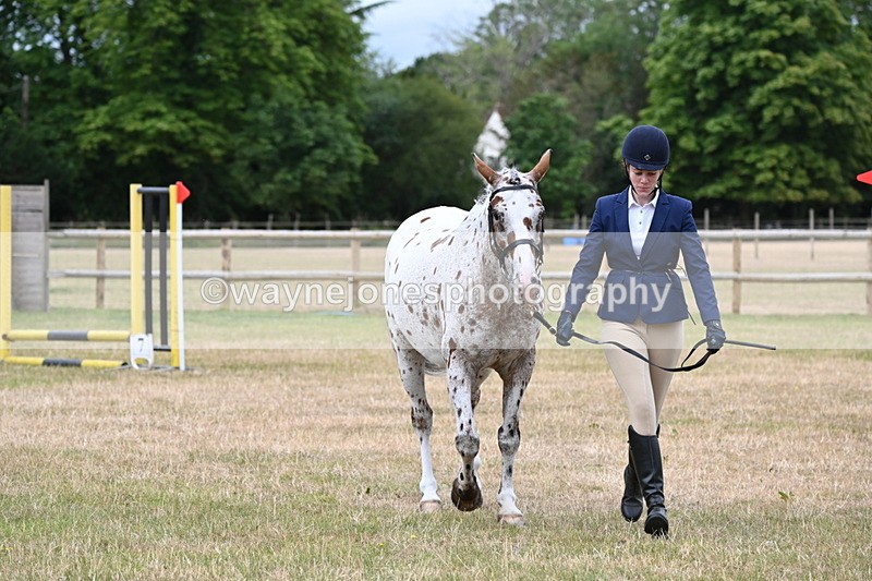 WJ6_4297 - Class 10 Coloured In-hand