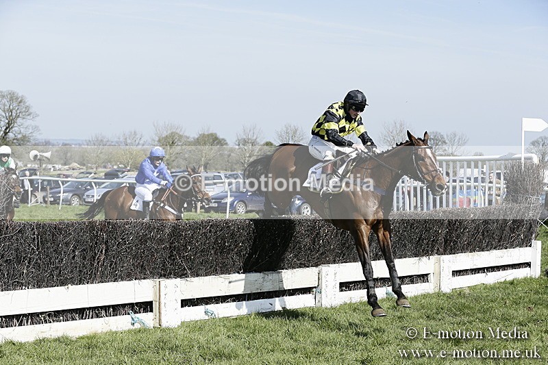 PtP 260317 95 - Mendip Farmers Point-to-Point Ston Easton 26/03/17