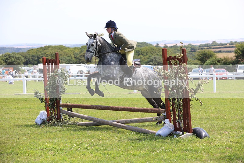 JPP_2471 - Class 21: Working Hunter 60cm
