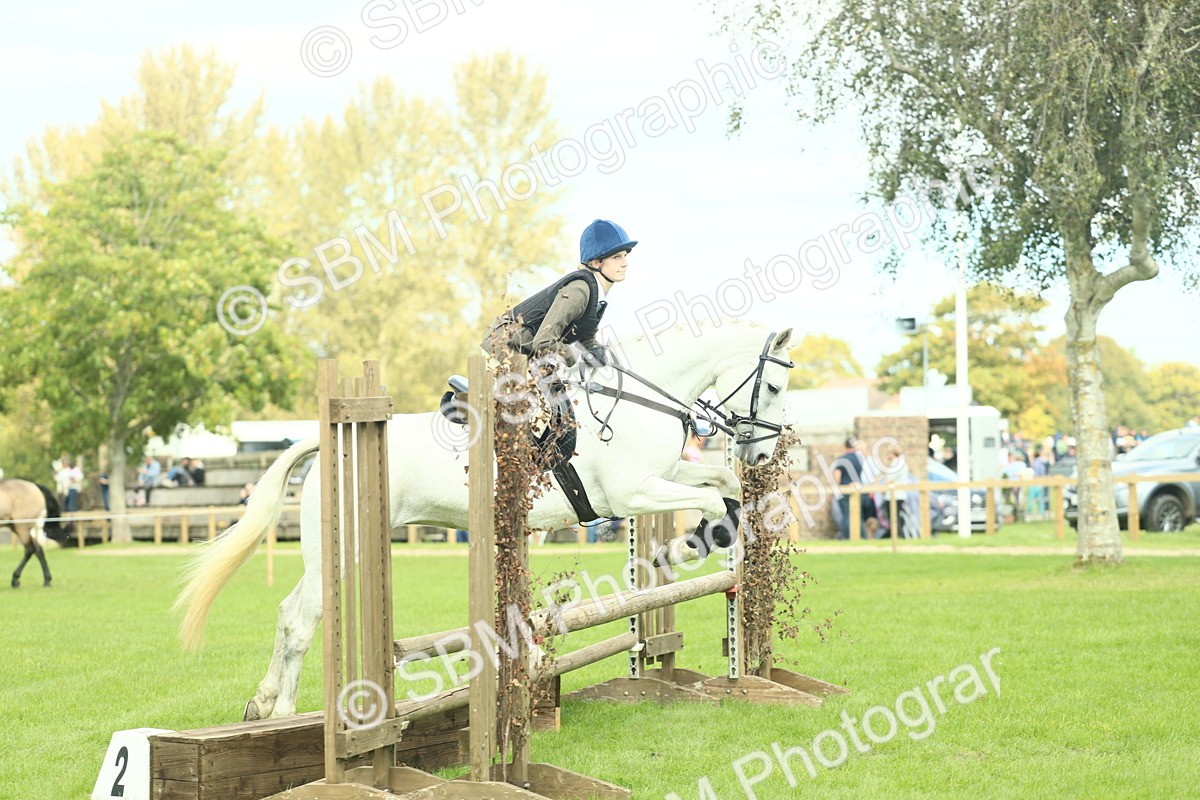 SBM_44719 - S31 - Working Hunter Pony