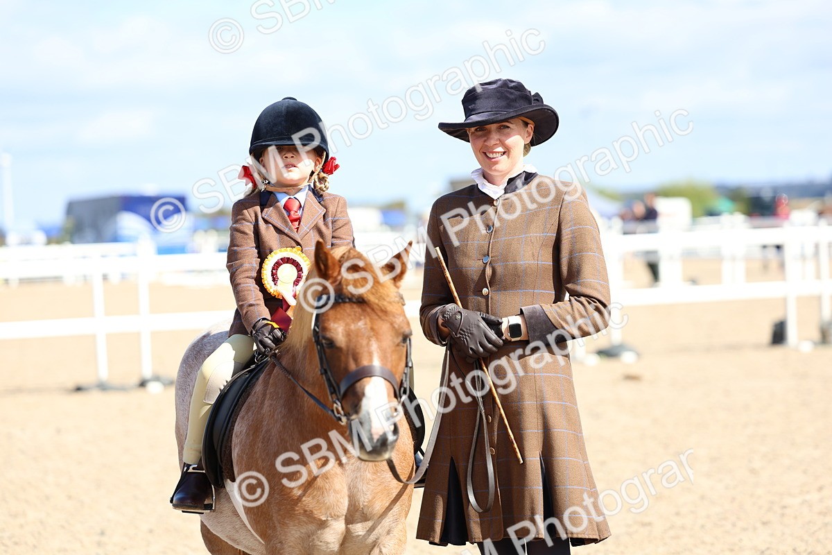 SBM_13118 - Class 309 - Lead Rein Pony