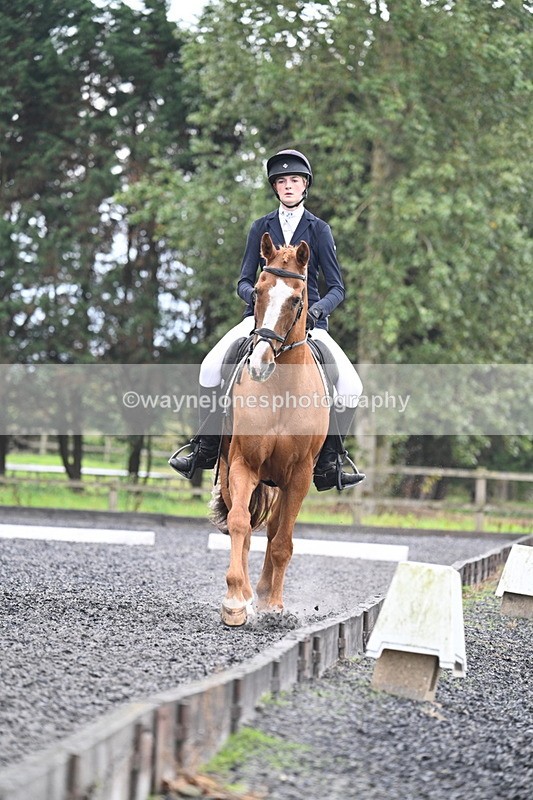 WJ7_6687 - Time 14:49 to 15:14