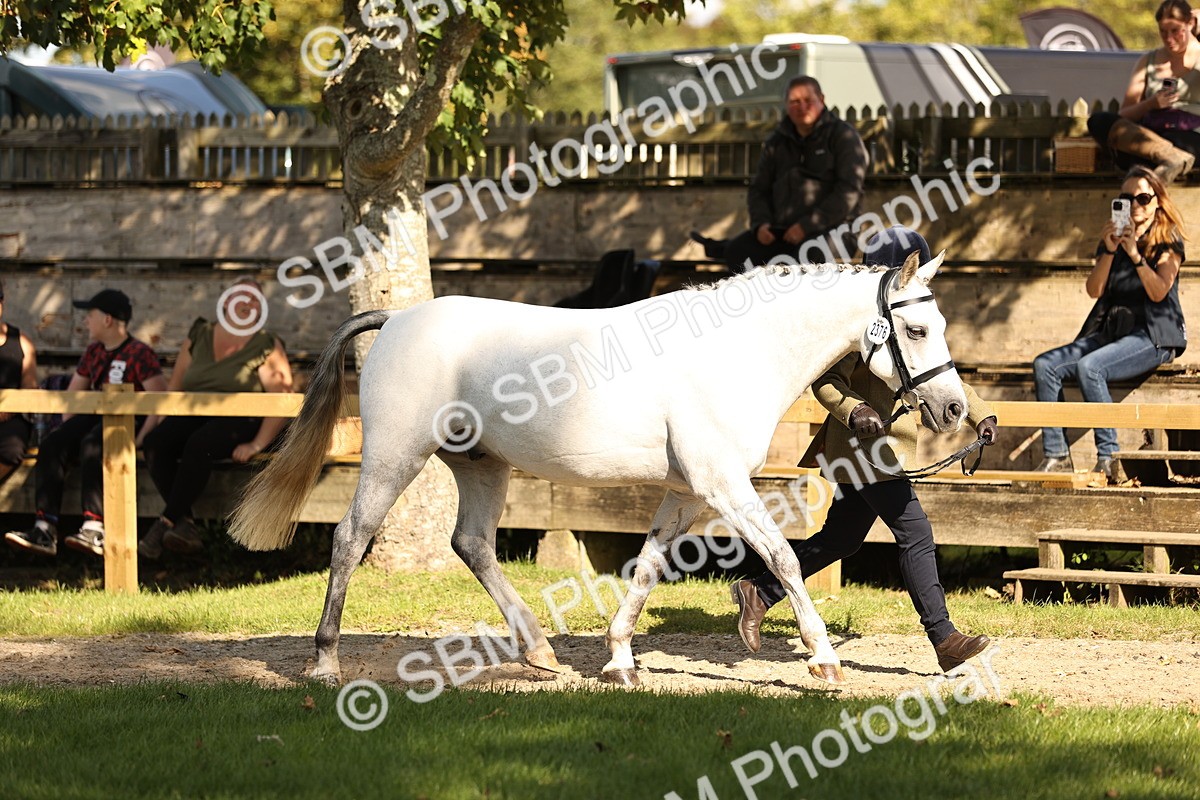 SBM_26150 - S5 - Novice & Newcomers In Hand