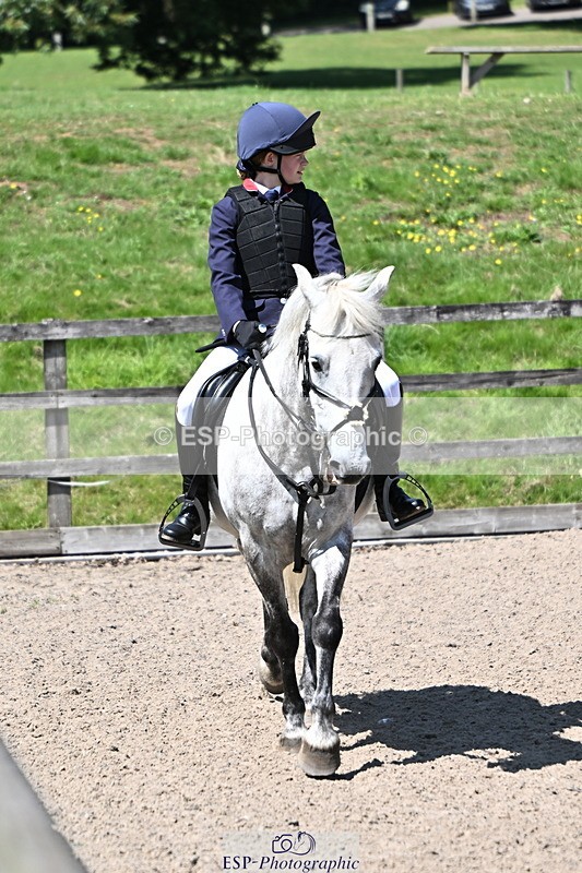 240729B-121435-02613 - Showjumping Competition