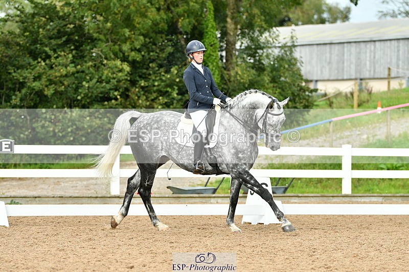 230912A-161127-01723 - Cls 14 Adv Medium 98