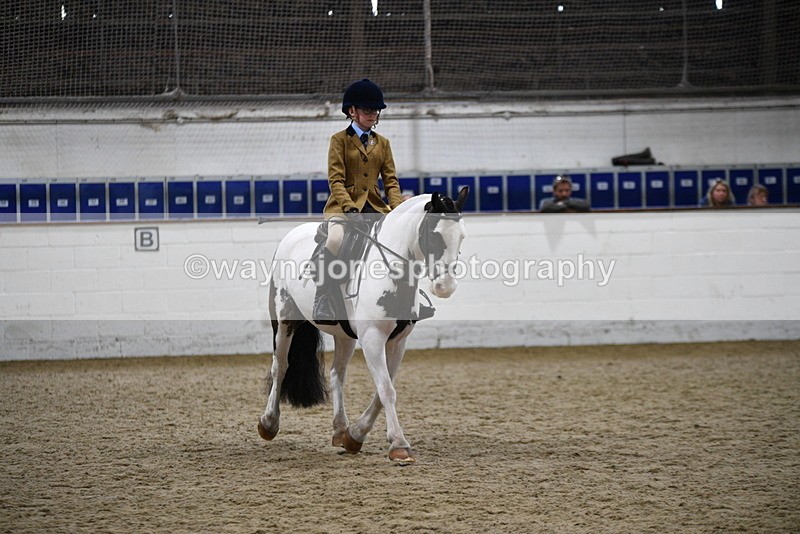 WJ5_7290 - Class 11 Ridden PC - RC Pony