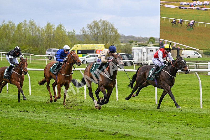 240424-Race 2-Restless Prince-7736 - Race 2