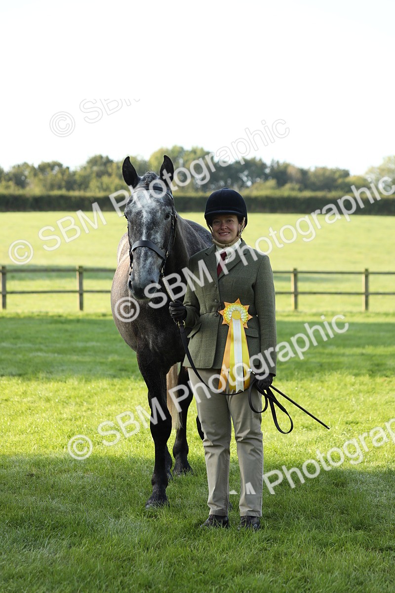 SBM_57986 - S42 - Youngstock