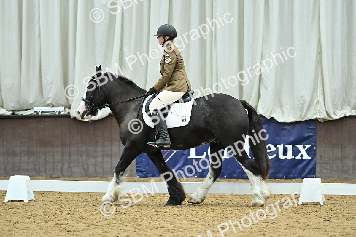 SBM_007463 - Class 81 - Novice 3