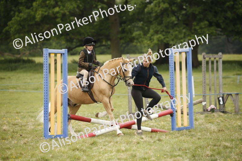 20250517-0201 - Class 1 - 30cm On Lead Rein