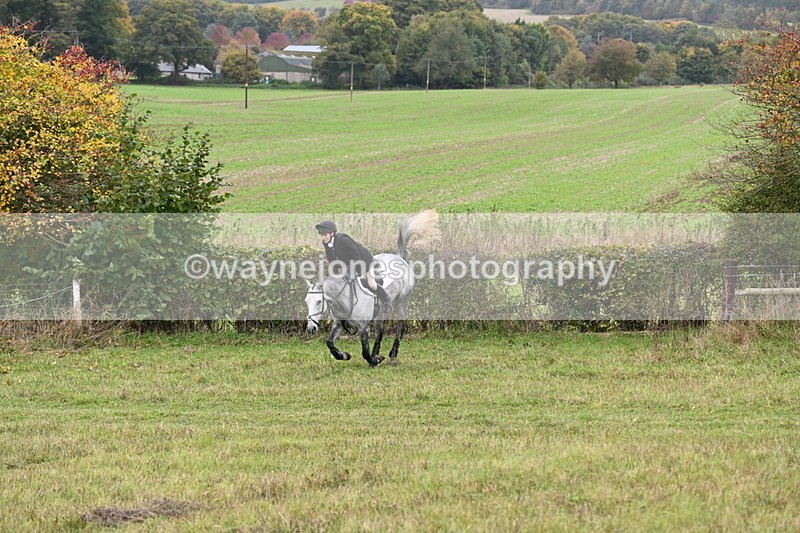 WJ6_1000 - Camera 2 Line 2