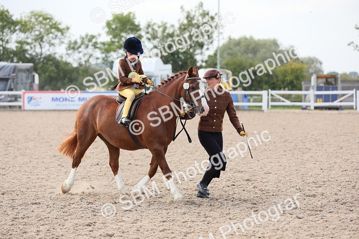SBM_17069 - Class 314 Family Horse/Pony