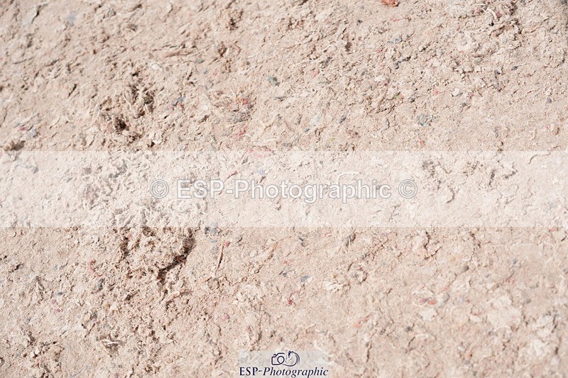 250525-110206-09201 - Cls 32 A&B Snr Brit Nov & 90cm Open