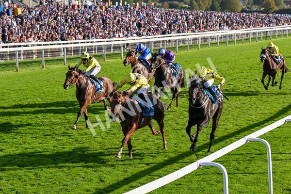 111025-Race 5-Morshdi-0547 - Race 5 Coral 'We're Here For It' EBF Maiden Stakes at York