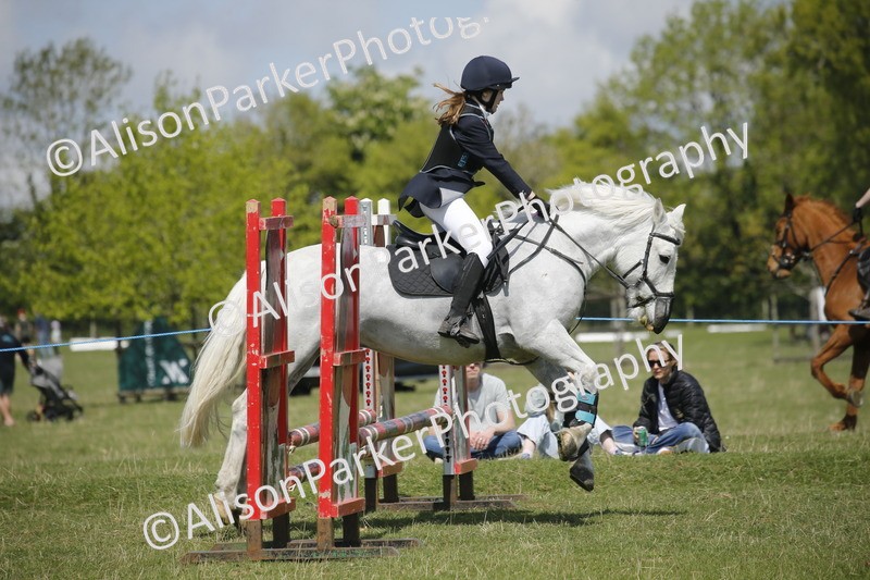 20250427-3537 - Class 14 - Absolute Novice 70cm