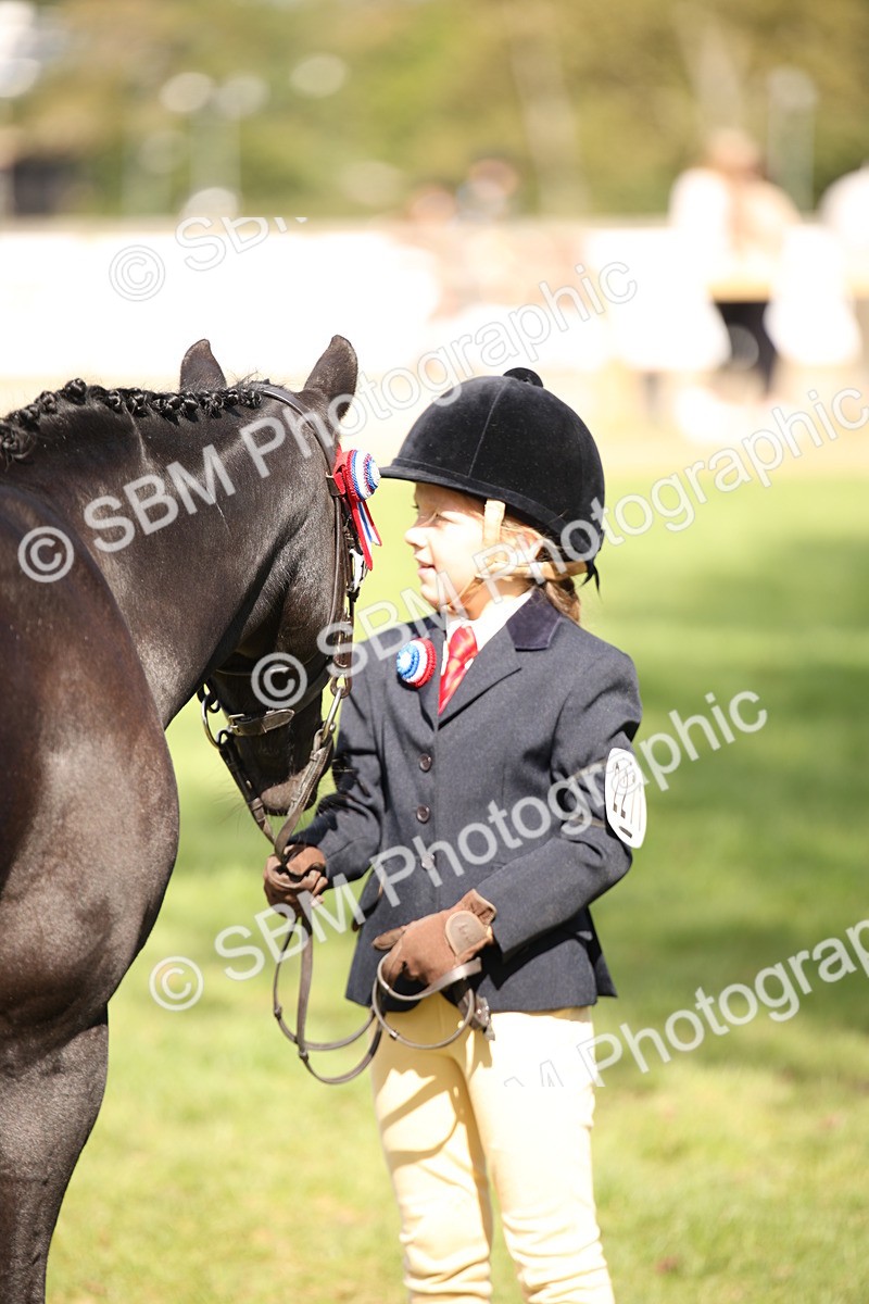 SBM_44455 - S24 - Young Veteran in hand