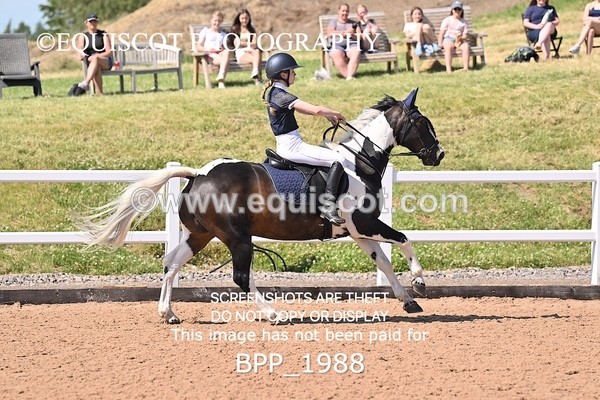 BPP_1988 - THU CLASS 4 Pony Newcomers/1m Open
