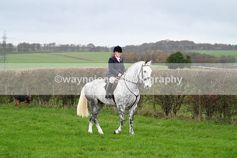 WJ7_8836 - Meet Staff & Hounds