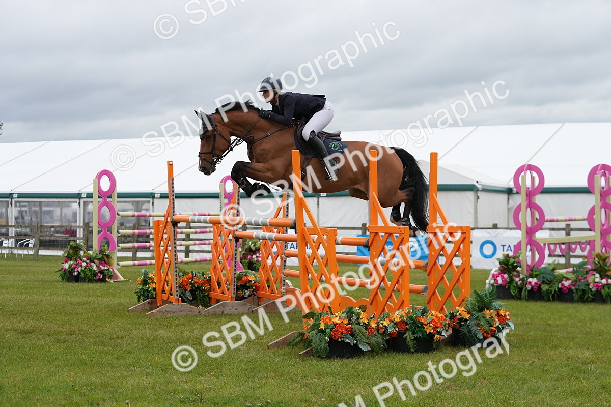 SBM_03251 - Class 201 - British Horse Feeds Speedi Beet Horse of the Year Show Grade  C