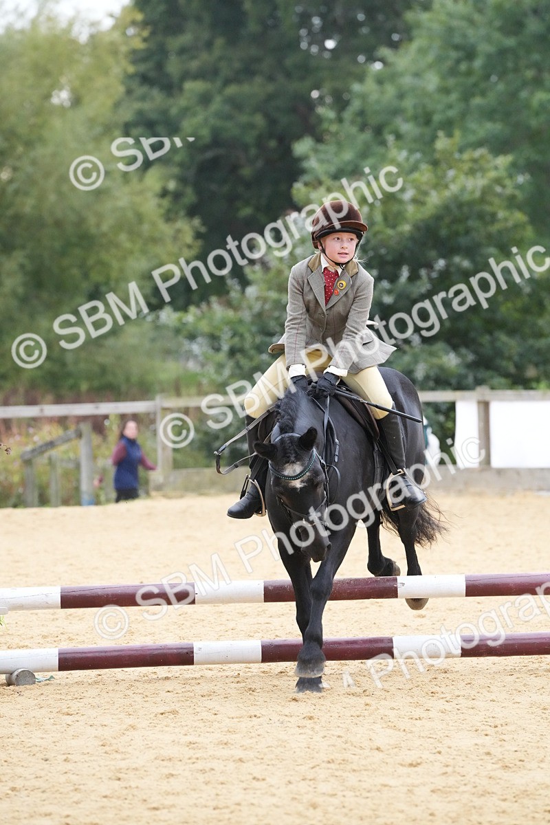 SBM_74547 - J4 - Mini Tour Junior Pony 45cm Championship