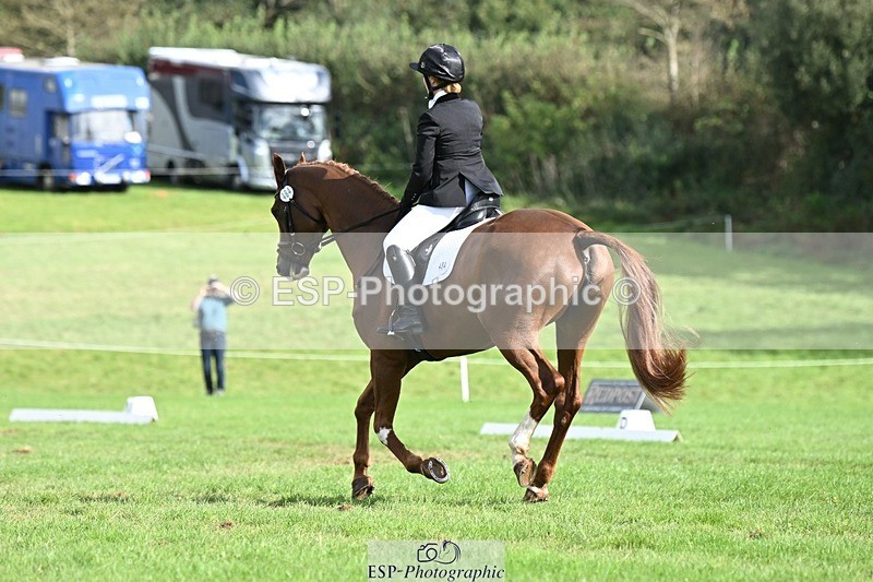 231020-121056-08019 - 484-JESATRAN.FIRECRACKER-Sally.Morton-DR
