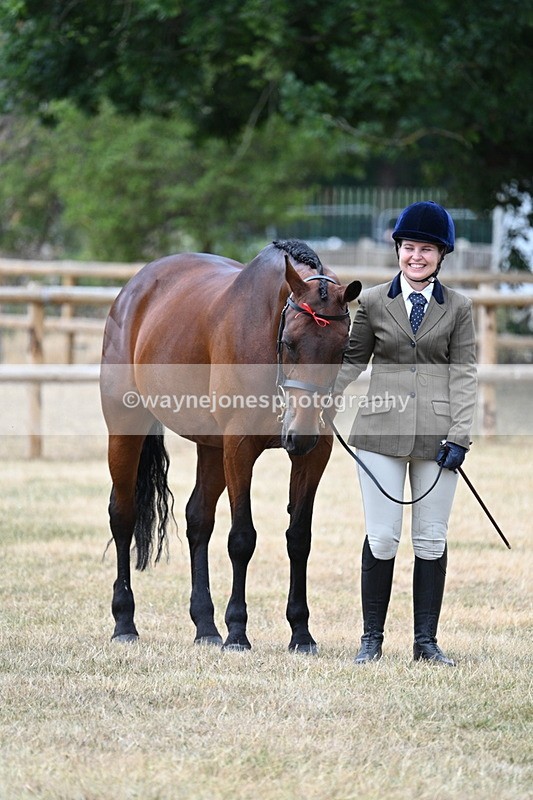 WJ7_1843 - Class 4a Prettiest Mare 14.2hh and over hand