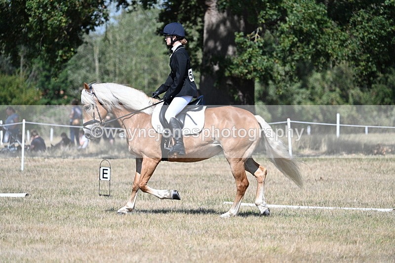 WJ7_0314 - Time 11:33 to 11:44