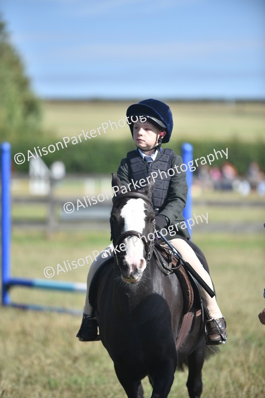 20260906-0979 - Class 7 - Absolute Novice Jumping 35cm