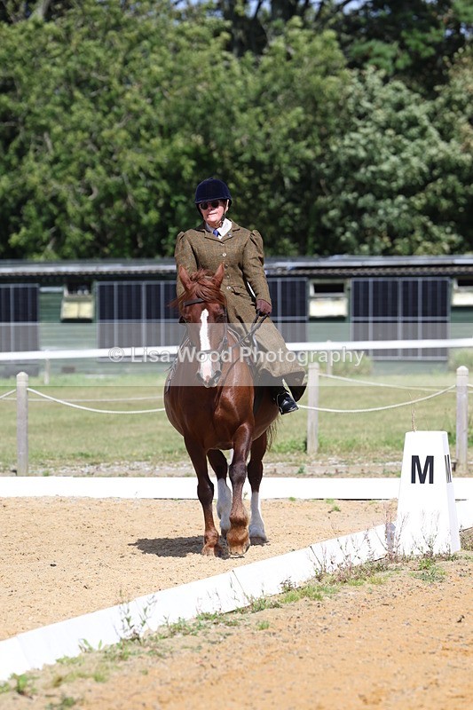 3E7A3550 - Class 7:  Preliminary Music