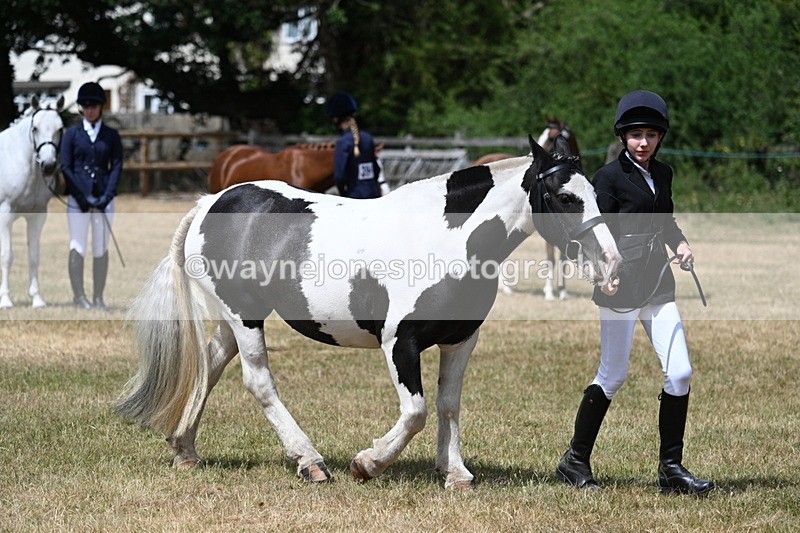 WJ7_1708 - Class 4 Prettiest Mare up to 14.2hh in hand